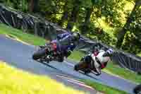 cadwell-no-limits-trackday;cadwell-park;cadwell-park-photographs;cadwell-trackday-photographs;enduro-digital-images;event-digital-images;eventdigitalimages;no-limits-trackdays;peter-wileman-photography;racing-digital-images;trackday-digital-images;trackday-photos